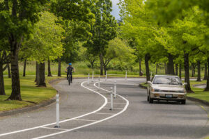 Bellingham, Washington (Gold)