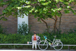 Washington University in St. Louis School of Medicine (Silver)